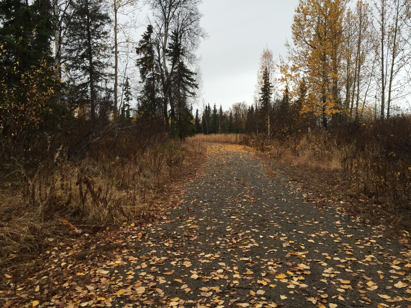 63760 Tailwind Rd, Ninilchik, AK 99639